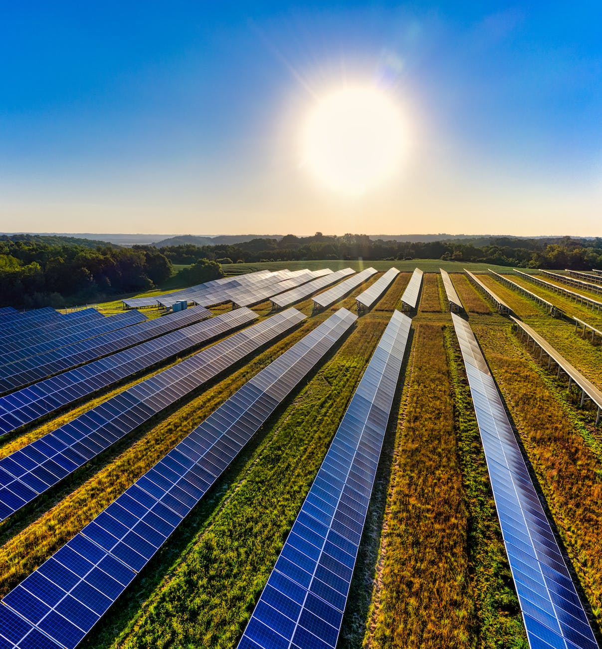 Photovoltaïque agricole : avantages, étapes, aides, rentabilité