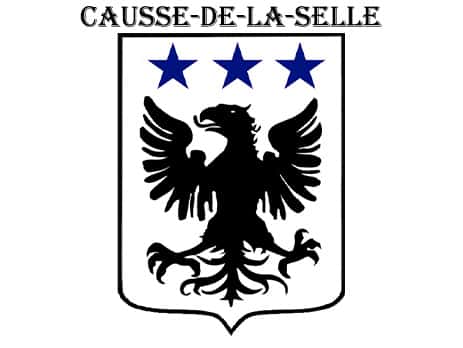 Installation panneaux solaires photovoltaïque sur Causse-de-la-Selle