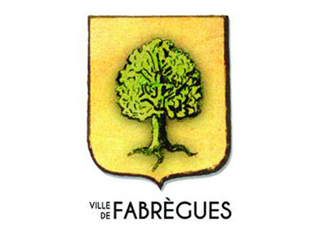 Installation panneaux solaires photovoltaïque sur Fabrègues